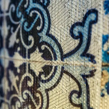 Orpheus - Isabel De Aragao - Unesco Heritage Lejlighed Coimbra